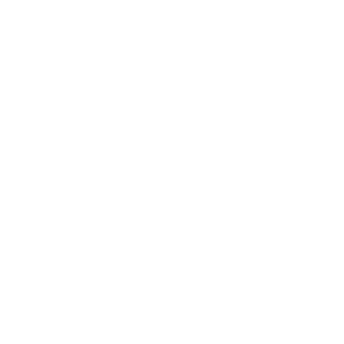 Government Organizations