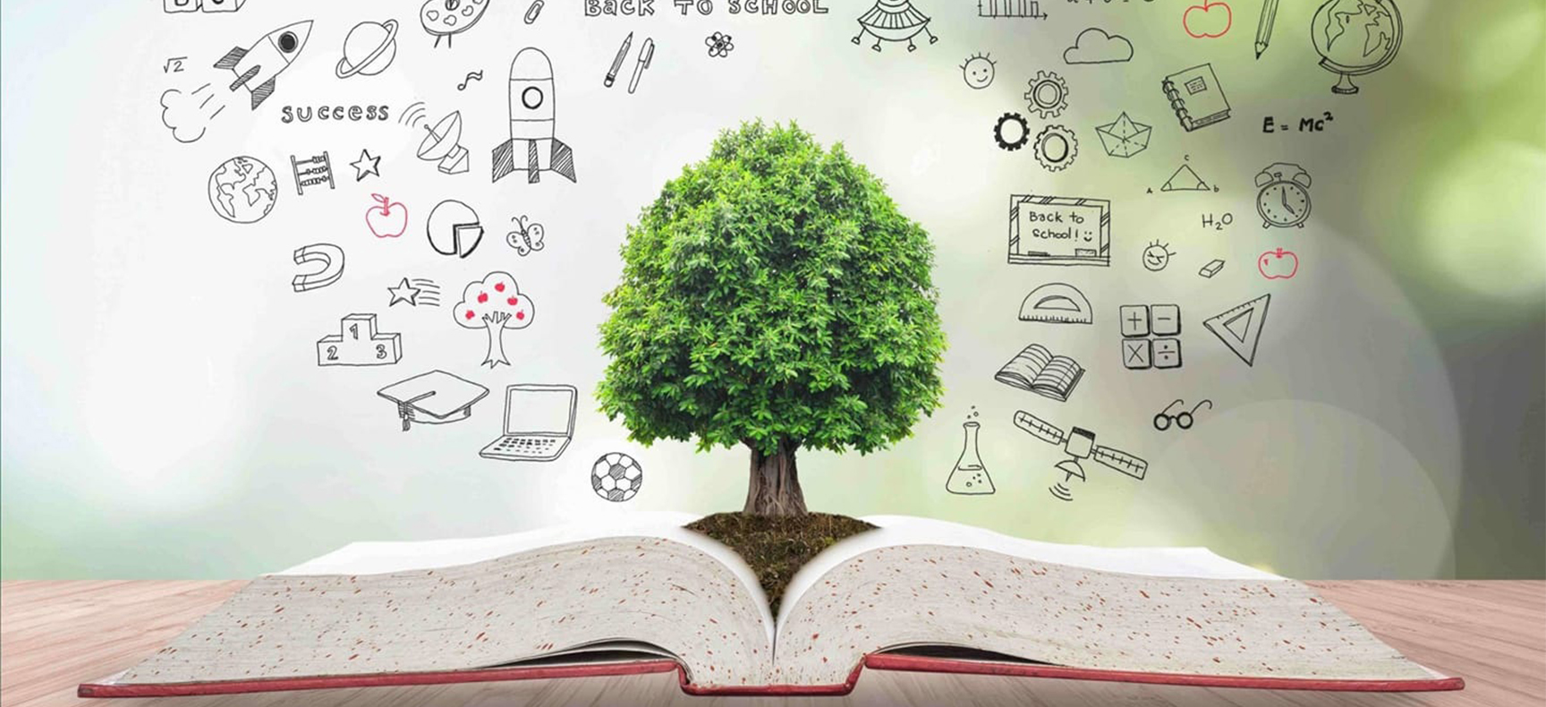 Sustainable Development